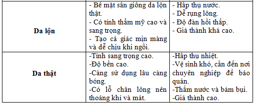 boc-ghe-da-xe-Xpander